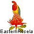Eastern Rosela