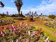Kings Park of Perth