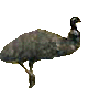 Emeu